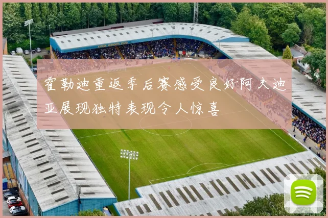 霍勒迪重返季后赛感受良好阿夫迪亚展现独特表现令人惊喜