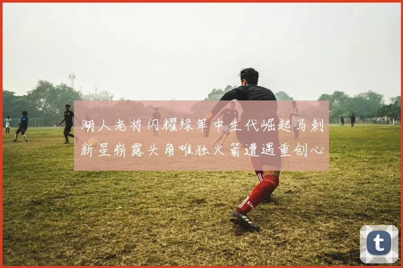 湖人老将闪耀绿军中生代崛起马刺新星崭露头角唯独火箭遭遇重创心碎不已